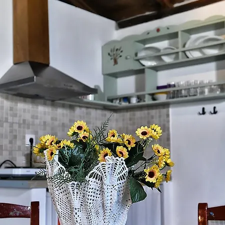 Stellina's House Apartman *