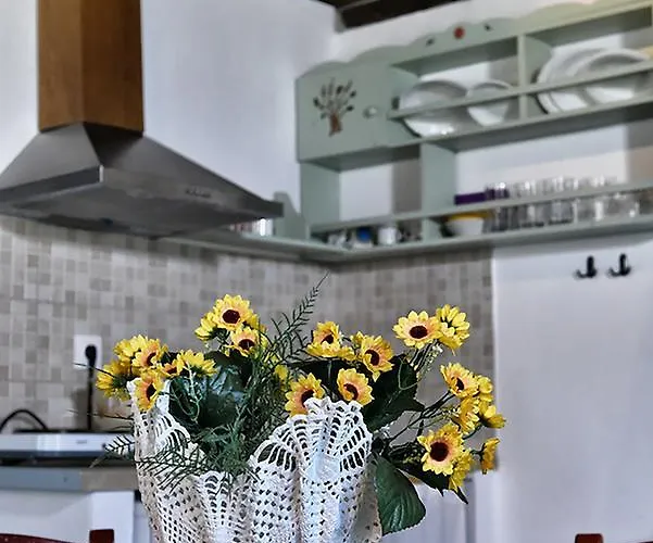 Stellina's House Apartment *